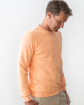 TENCEL™ SWEATSHIRT APRICOT